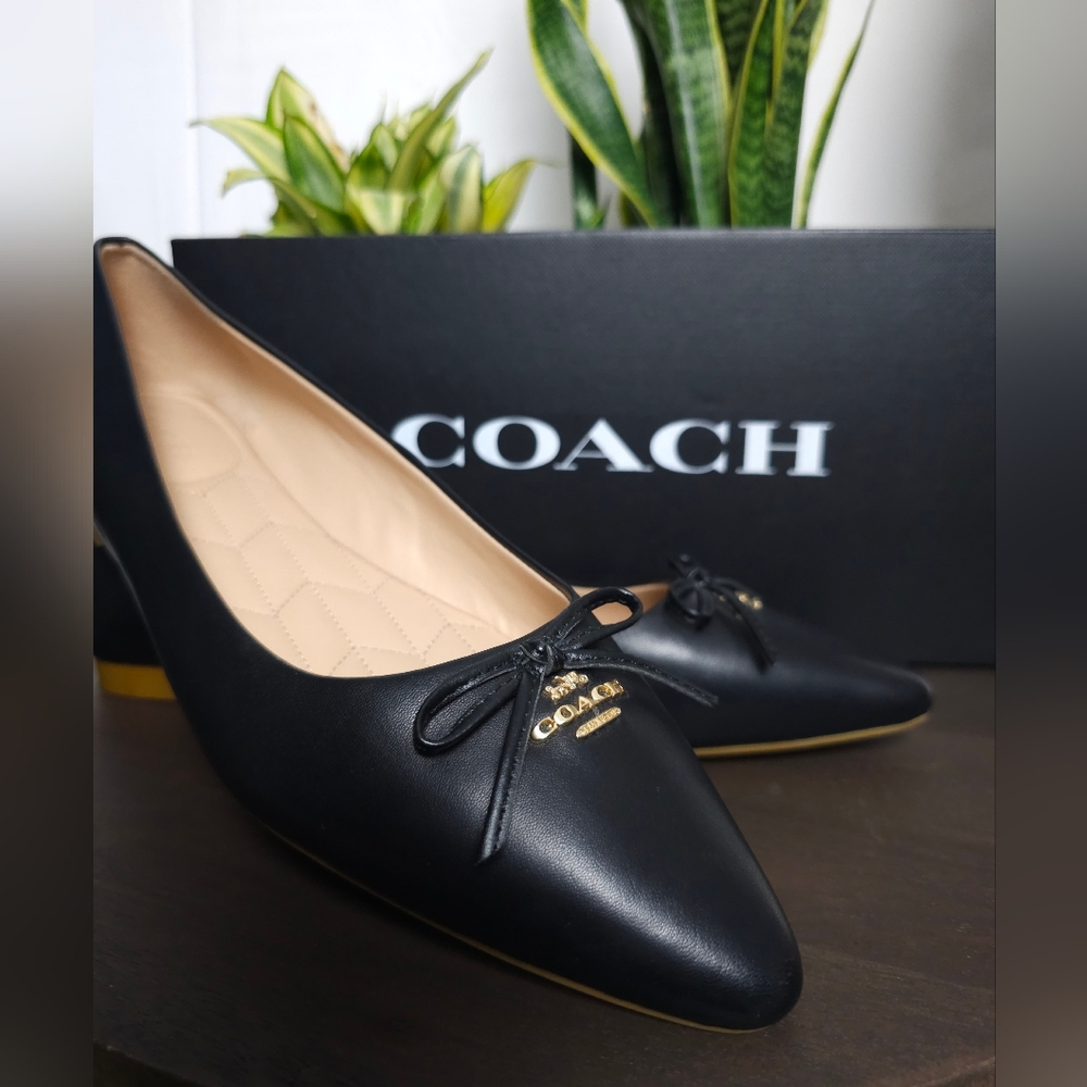 COACH Annabel Leather Ballet Flats 9.5